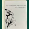 Close-up product image of a greeting card in front of a cream envelope. The card features a black and white drawing of two lilies in the bottom left corner. At the top of the card, in a vintage font, reads, "our relationship may be 'it's complicated.'